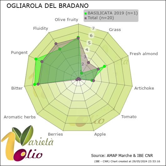 Profilo sensoriale medio della cultivar  BASILICATA 2019